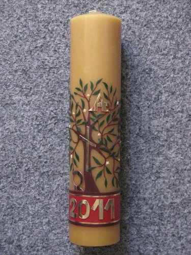 C36 - Olivový strom - Velikost paškálu: 7 kg rozměr 105 x 10 cm